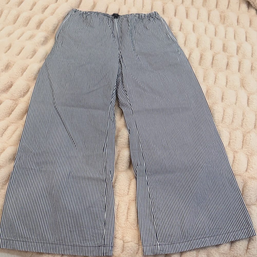 J. Crew Navy and White Striped Pants